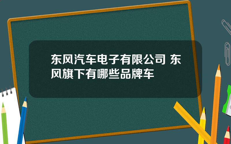 东风汽车电子有限公司 东风旗下有哪些品牌车